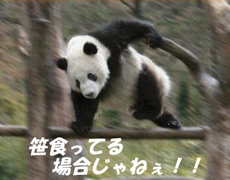 オナネタＴＯＤＡＹ